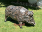 Preview: Lebensechtes Wildschwein Eber Statue