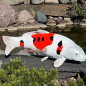 Preview: Sanke Koi Deko Handel Fischgeschäft Werbung