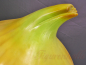 Preview: Giant onion