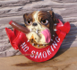 Preview: No Smoking Sign