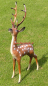 Preview: Deer garden figure