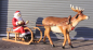 Preview: Weihnachtsschlitten mit Rentier