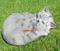 Preview: Schlafende Katze grau