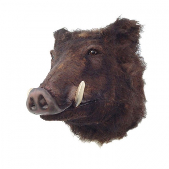 Wildschweinkopf Deko Figur