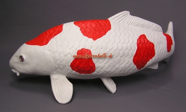 Kohaku Koi