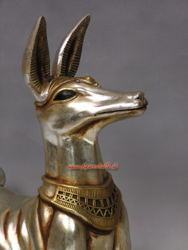 Preview: Ägyptische  Schakal  Hund