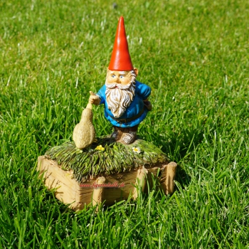 Gartenzwerg mit Ente