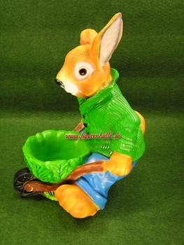 Preview: Hase mit Kohl