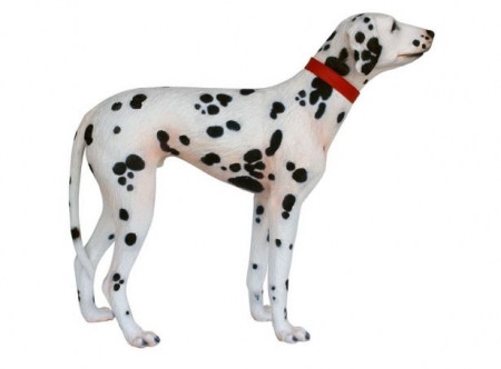 Dalmatian as set up figure