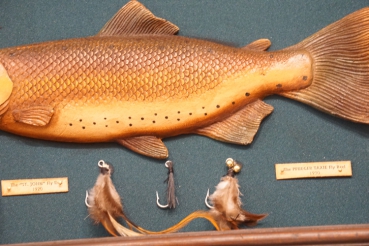 Preview: Antikes Fligenfischen