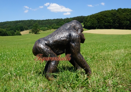 Decoration decoration