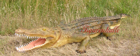 Preview: Deko Aligator