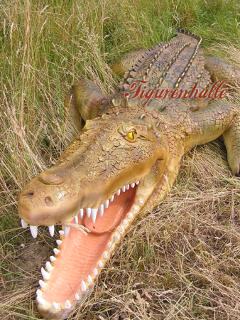 Preview: Dekoration Kroko