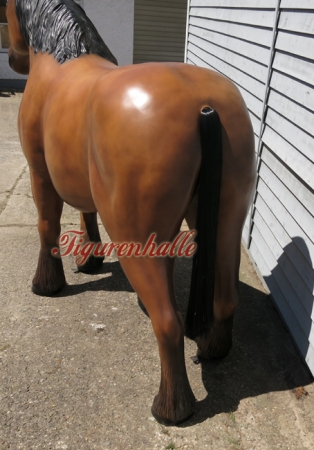 Shire Horse Pferd Kaufen