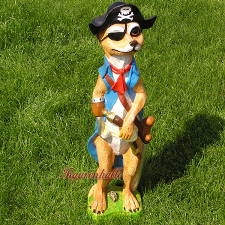 Pirat Erdmännchen