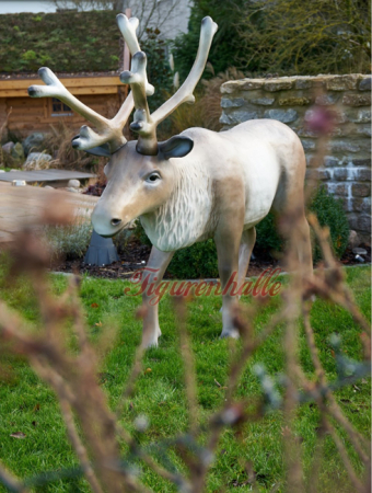 Reindeer Norway Sweden figure lifelike