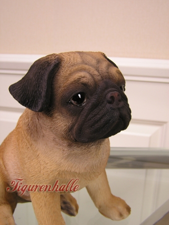 Preview: Möpse im Tierheim als  Figuren