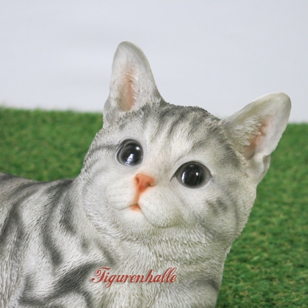 Preview: Kätzchen Amerikanische Kurzhaarkatze grau liegend Figur