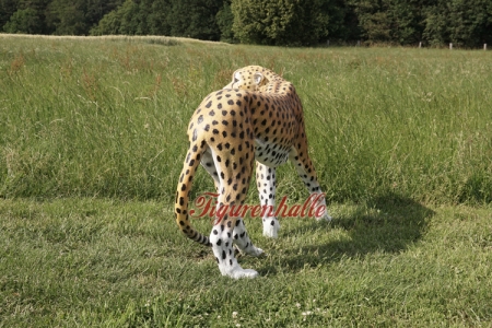 Preview: Leopard als aufsteller