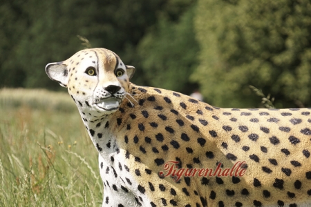 Afrika Themendekoration