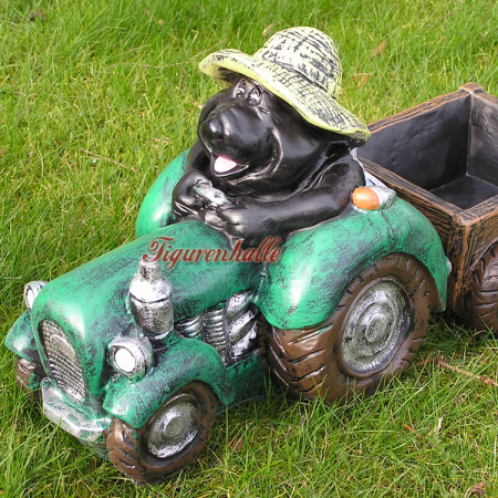 Maulwurf auf Tracktor