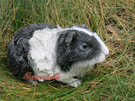 Preview: Dekoration Langhaar Merschweinchen Dekofigur