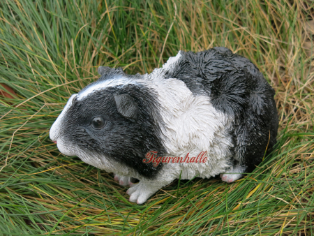 Preview: Dekoration Langhaar Merschweinchen Dekofigur