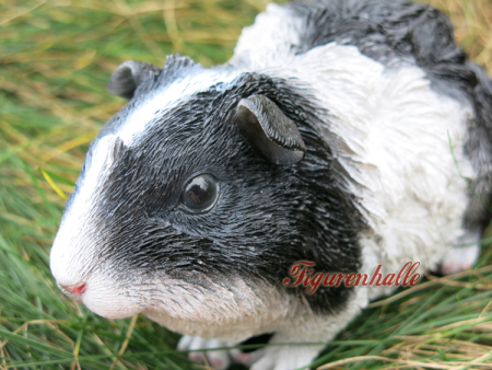 Preview: Meerschweinchen Käfig Deko