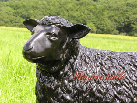 Preview: Black sheep