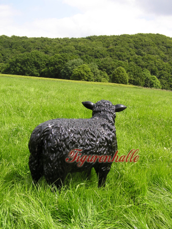 Preview: Sheep standing figure