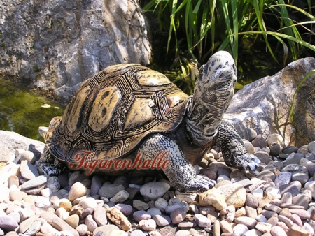 Landschildkröte Dekofigur