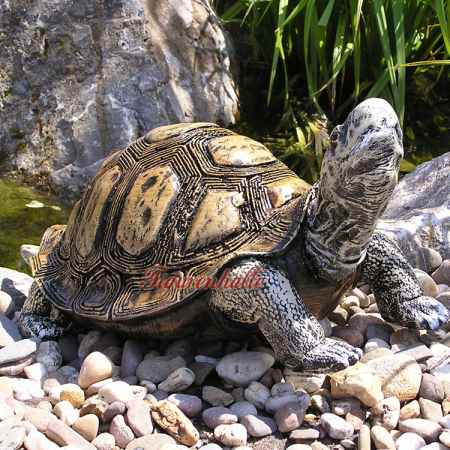 Schildkröte Figur