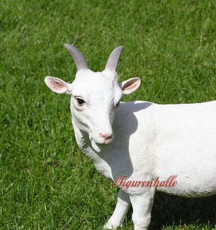 Preview: Goat milk decoration