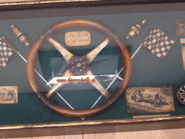 Preview: Autorennen Schaukasten