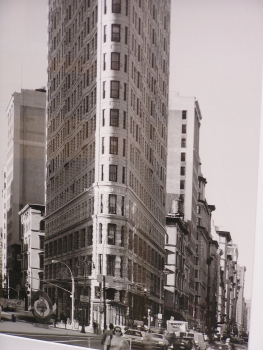 Preview: Amos Eno Bilder