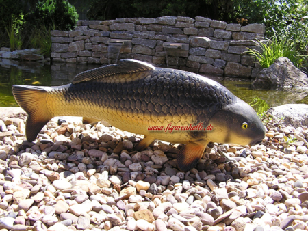 Schuppenkarpfen Figur