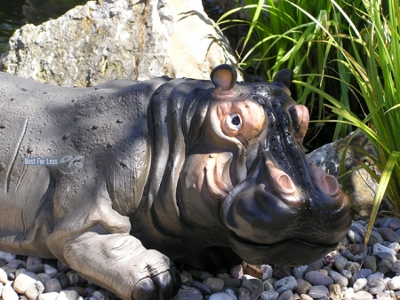 Preview: Nilpferd Flusspferd