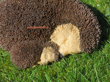 Preview: Igel Gartenfigur