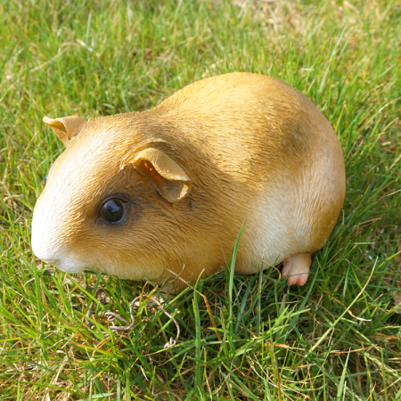Preview: Lebensgroßes Meerschweinchen Beige