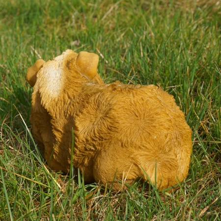 Preview: Lebensgroßes Meerschweinchen