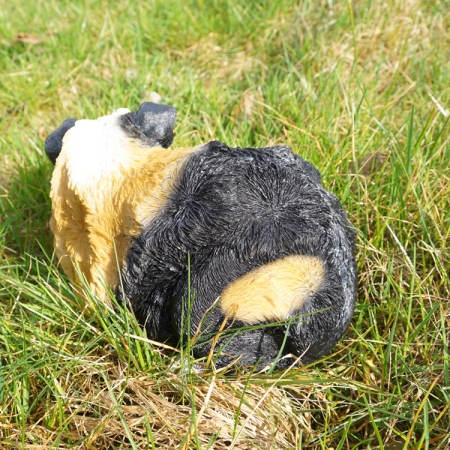 Preview: Haustier bedarf zubehör dekoration deko kindergeschenk