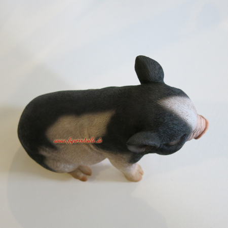 Preview: Zwerkschwein Statue