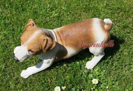 Preview: Jack Russell Terrier