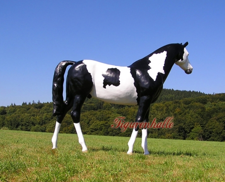 Preview: Quarter Horses Sattel-Halter