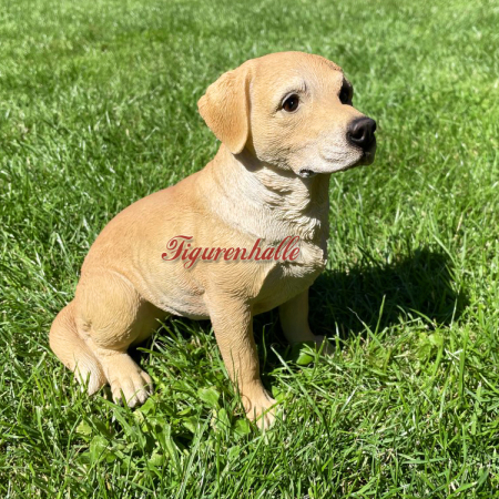 Preview: Labrador Figur Fan Artikel