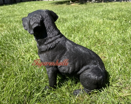 Preview: Labrador Fan Artikel