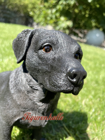 Preview: Labrador schwarz Statue