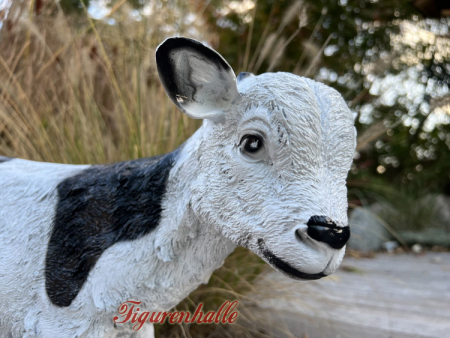 Rural country decoration as milk goat