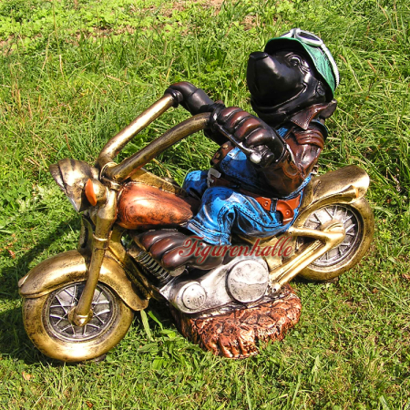 Maulwurf auf Motorrad