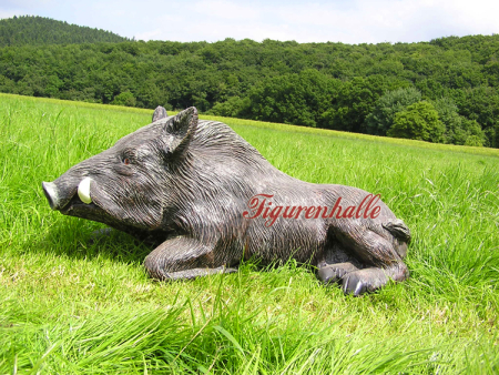 Boar Wild boar